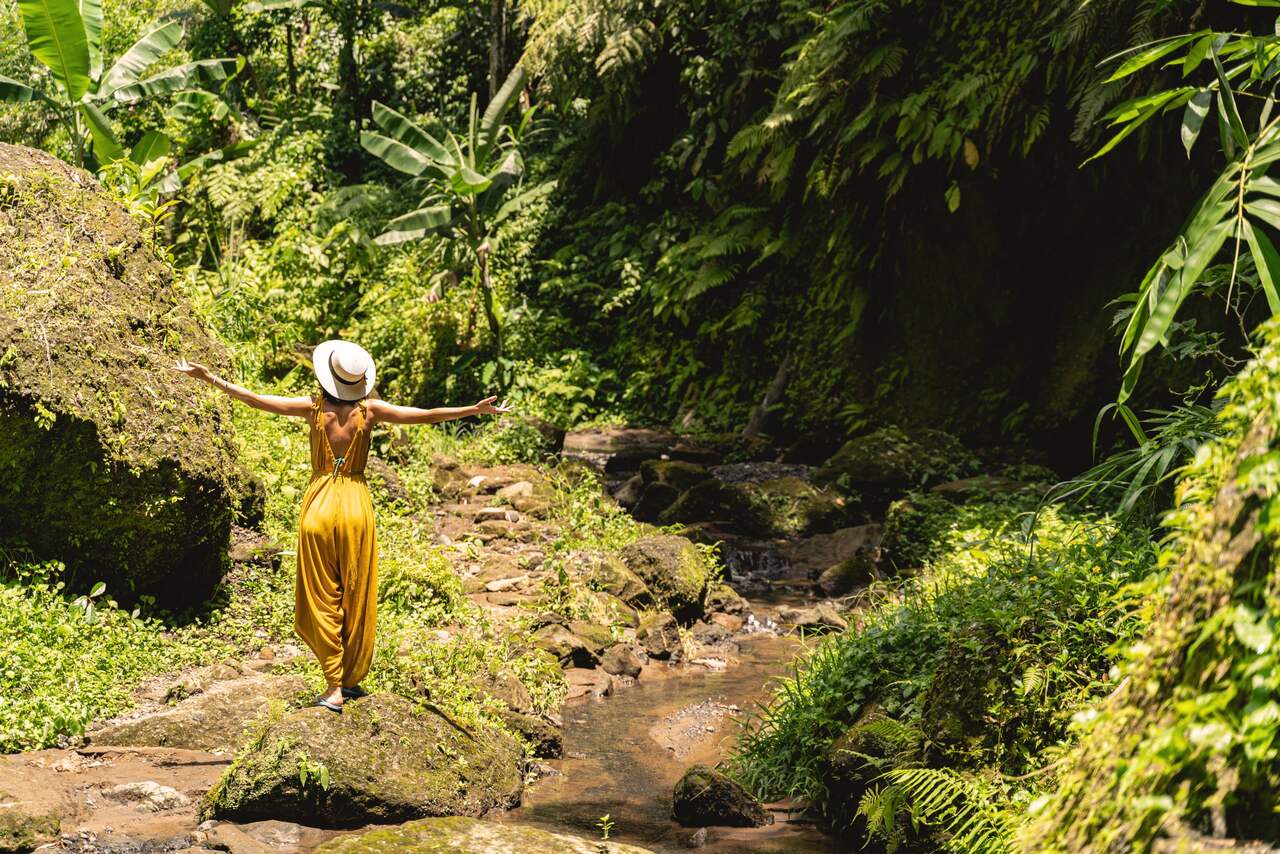 A photo showing a woman standing with her back to the camera, immersed in nature in an exotic setting.
